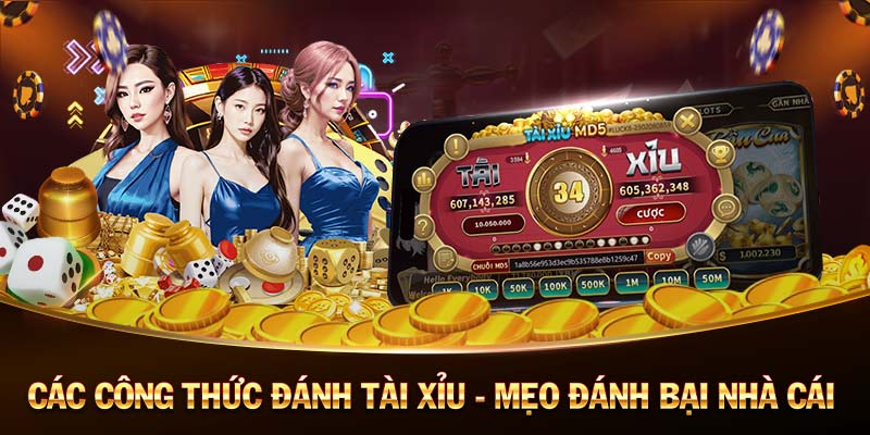 Review Factual Nhà Cái Không Lừa Đảo
